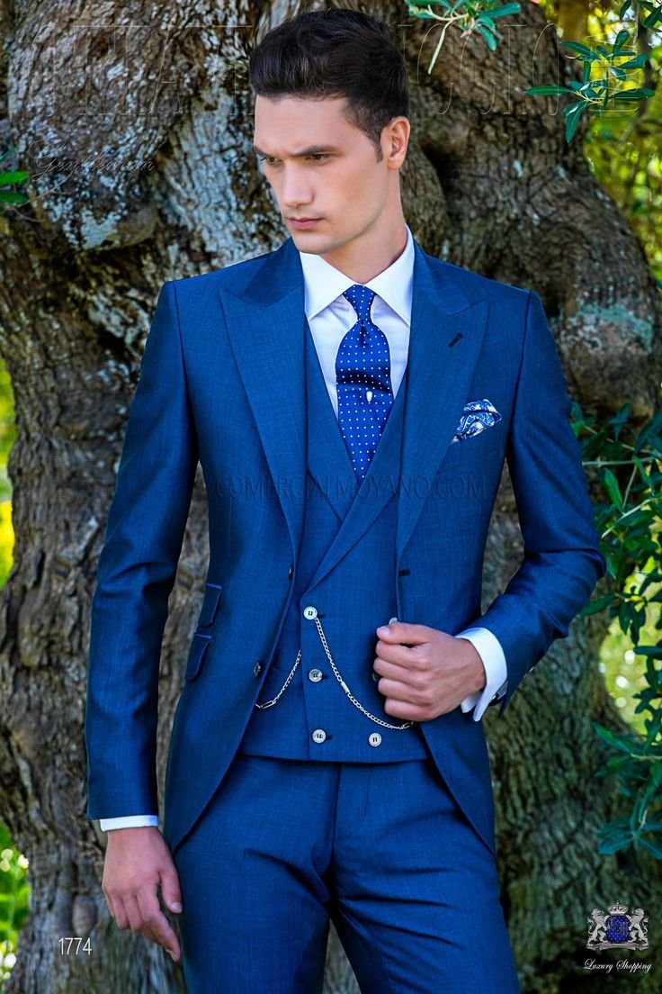 Terno Azul Royal
